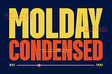Molday – Modern Font Family