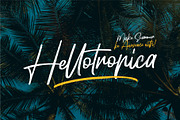 Hellotropica Handbrush Fonts, a Script Font by Garisman Std (Thumbnail 1 of 10)
