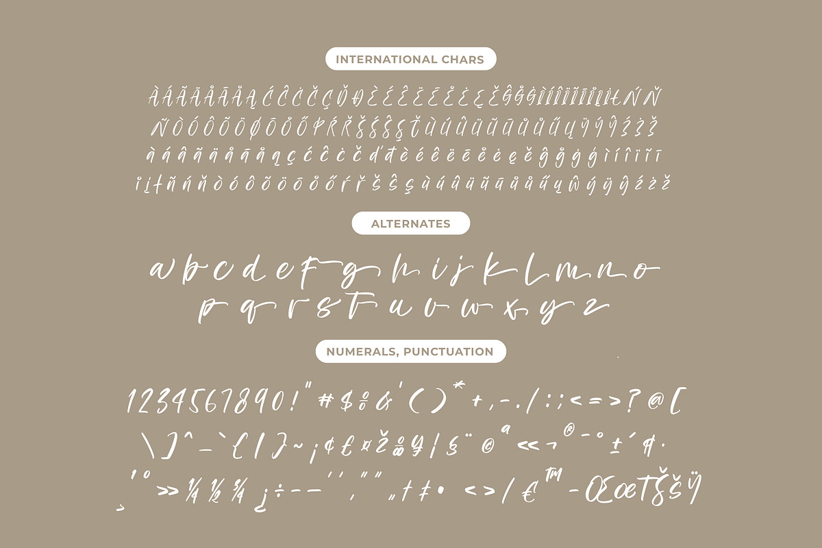 Bestovy Wisher Modern Handbrush Font, a Script Font by stylishtype.co (Photo 13 of 15)