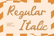CS Camara Disco, a Script Font by Craft Supply Co. (Thumbnail 2 of 8)