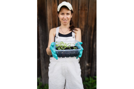 Pepper and tomato seedlings in peaty, a Nature Photo by Artsaba Family