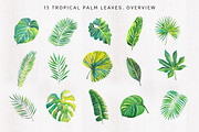 Tropical palm leaves, an Illustration by OJardin (Thumbnail 8 of 8)