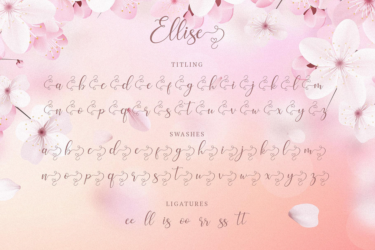 Ellise - Lovely Script Font, a Script Font by BrandSemut (Photo 9 of 11)