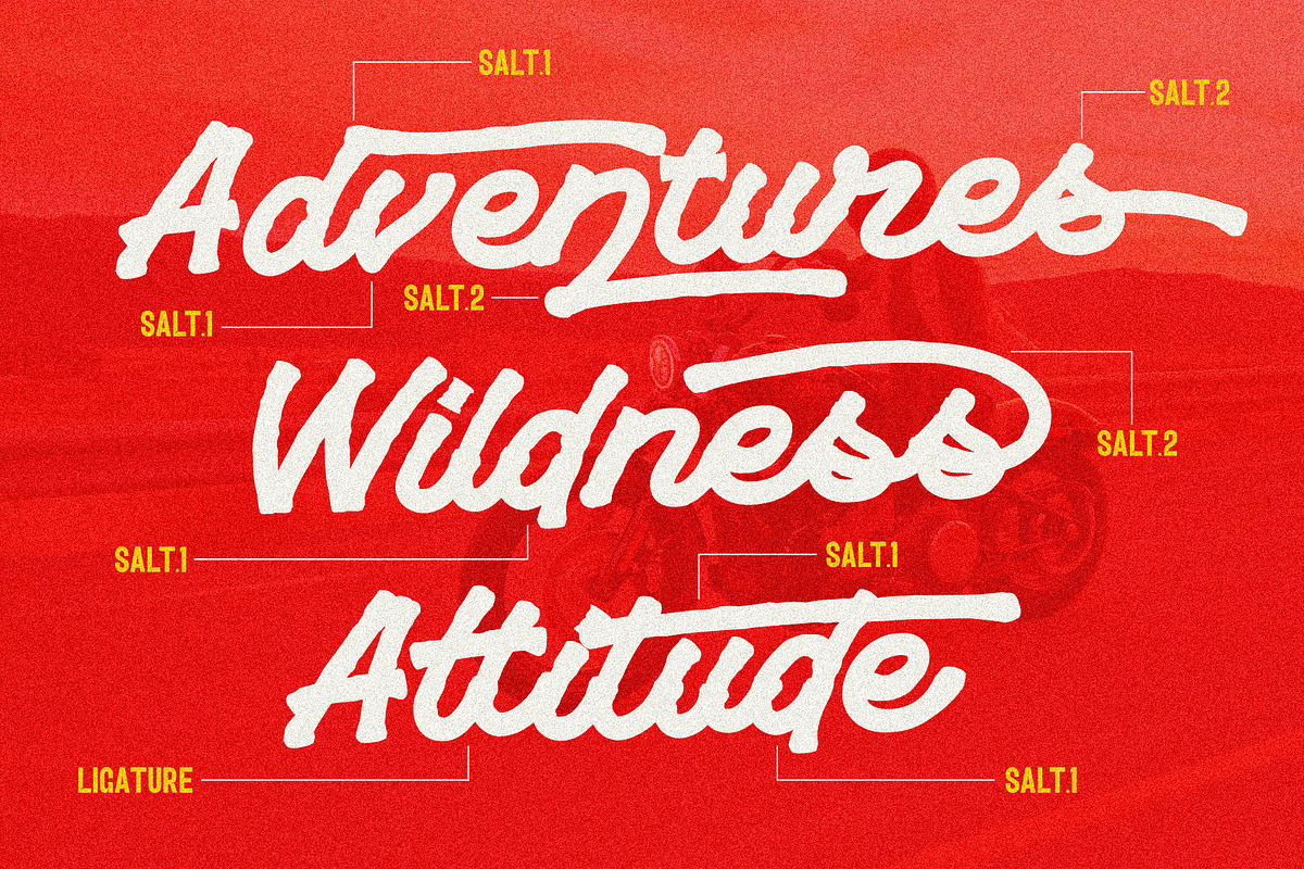 VT Playride - Font Vintage Script, a Script Font by ViactionType (Photo 6 of 13)