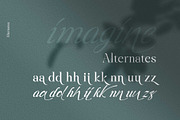 Liliane Classe Serif Font Family, a Serif Font by Ryul Davidson (Thumbnail 13 of 21)