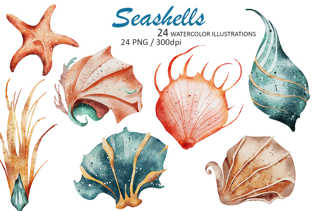 Seashells Watercolor Illustrations, an Object Illustration by Evgeniia (Photo 1 of 3)