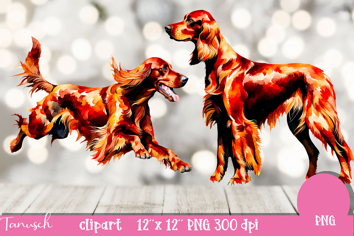 watercolor irish setter clipart PNG, an Animal Illustration by TanuschArts (Photo 5 of 5)