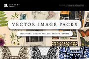 Vintage Overlays & Stamp Pack, a Decorative Illustration by Century Library (Thumbnail 15 of 15)