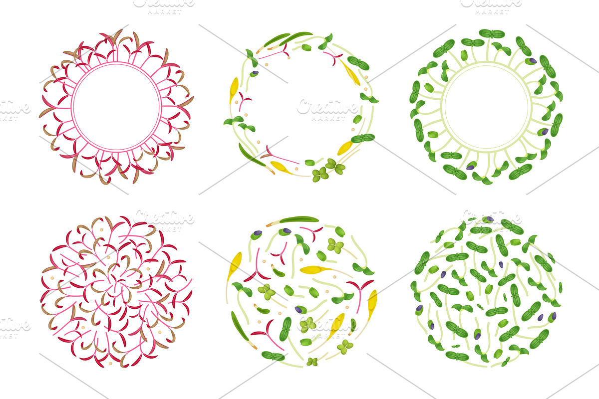 Decorative microgreens frames. Round, an Object Illustration by YummyBuum