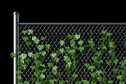 Hop leaves on the fence 3d model, an Architecture 3D Model by rnax (Thumbnail 4 of 4)
