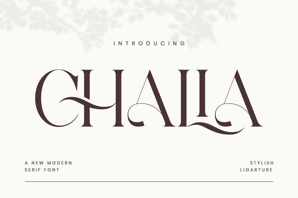 Chalia - Modern Stylish Serif Font, a Serif Font by Aqeel_Art (Photo 1 of 13)