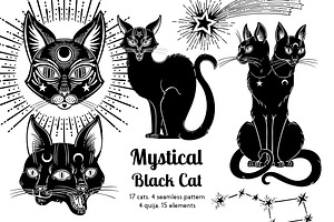 Mystical Black Cat