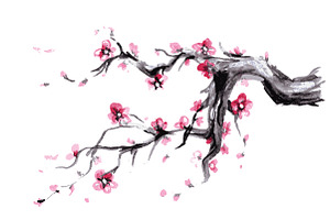 Sakura,Watercolor Spring Blossoms