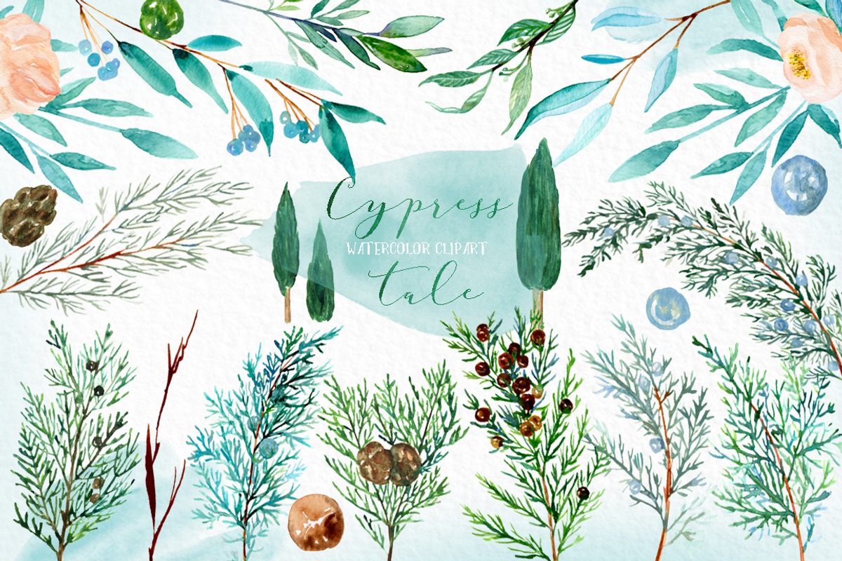 Cypress. Watercolor clipart, a Decorative Illustration by LABFcreations (Photo 11 of 12)