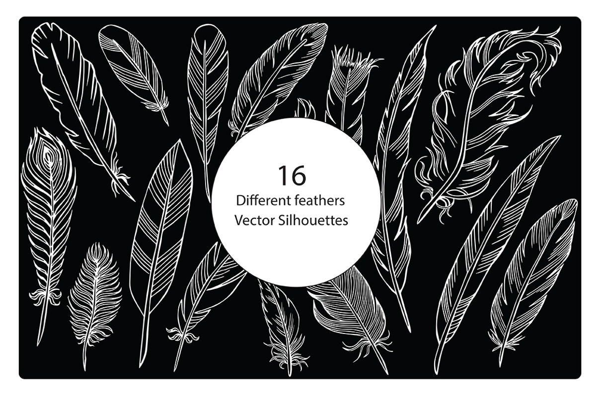 Silhouettes of different feathers, an Illustration by risovanya (Photo 1 of 3)