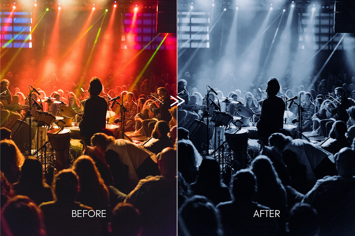 Cinematic Moody Concert LR Presets, an Action Add-On by CityTurtles (Photo 3 of 8)