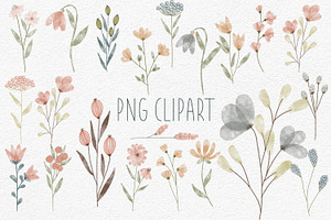 Watercolor Clipart & Digital Paper