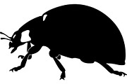 Ladybug Silhouette, an Object Graphic by Designer_Momina (Thumbnail 18 of 20)