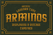 ARMINOS, a Serif Font by saskaratype (Thumbnail 1 of 6)
