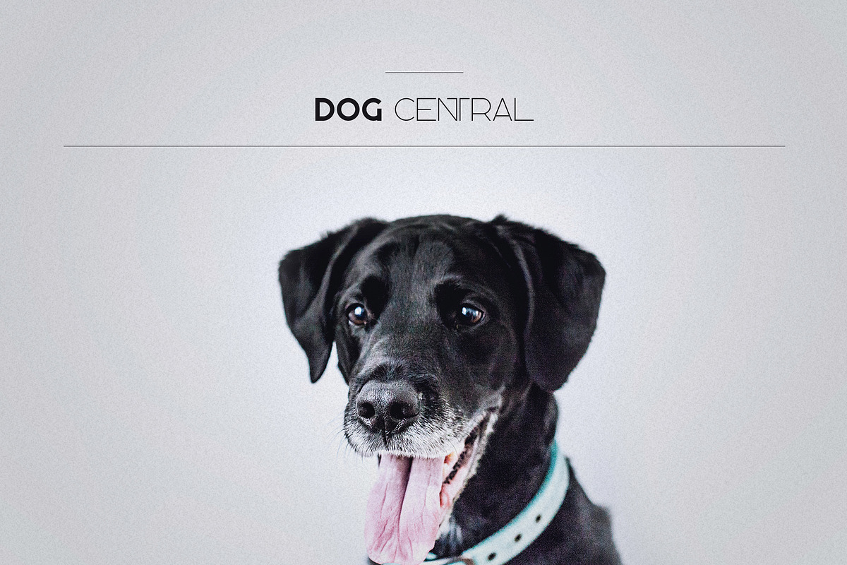 Kavo Sans Serif + 6 Logo Templates preview 7