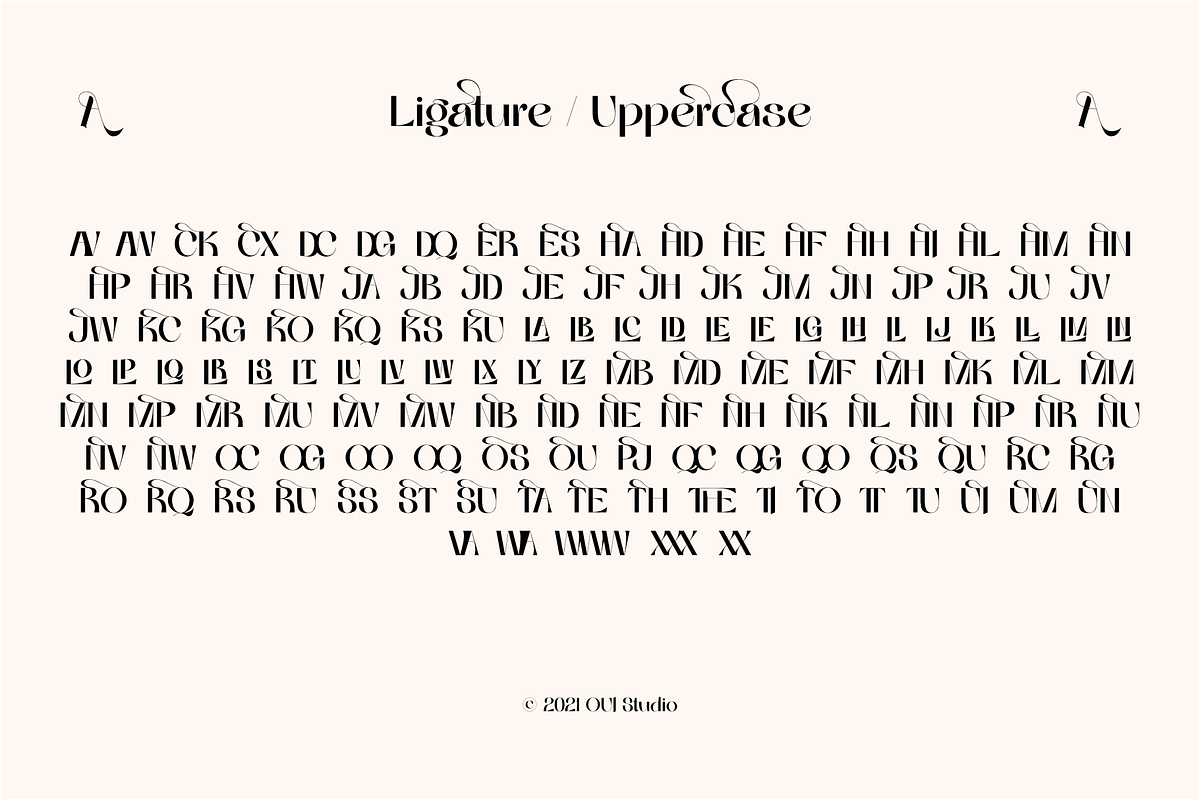 Quessera Font, a Sans Serif Font by Oui Studio (Photo 14 of 21)