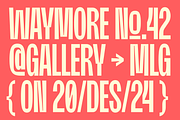 Moldin - Condensed Sans Serif Font, a Sans Serif Font by Zarma Type (Thumbnail 9 of 12)
