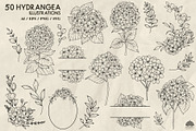 Hydrangea line art + Procreate, a Decorative Illustration by Skliarova (Thumbnail 3 of 4)
