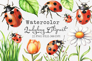 Watercolor Ladybug Clipart, an Illustration by Libby Wishes
