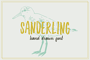 Sanderling Textured Font, a Script Font by Lettering Supply Co. (Thumbnail 14 of 17)