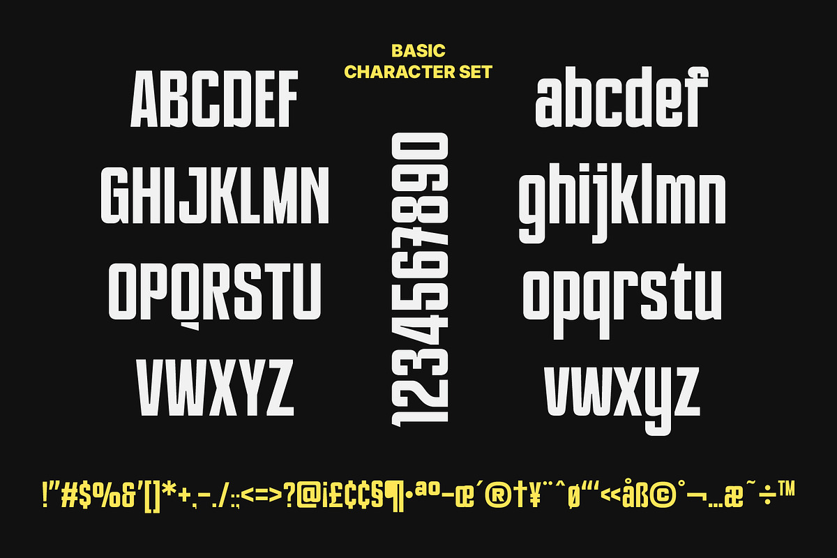 PRAK Breakstrike - Bold Condensed, a Sans Serif Font by Healltica.std (Photo 14 of 17)