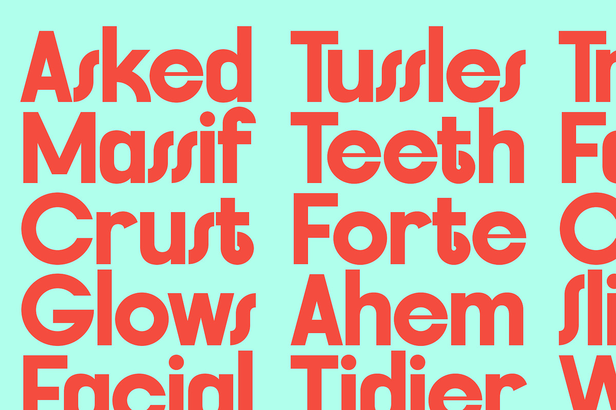 FlyBridge - Bold Ligature Rich Sans, a Sans Serif Font by SilverStag Type Foundry (Photo 7 of 30)