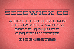 Sedgwick Co. 2.0