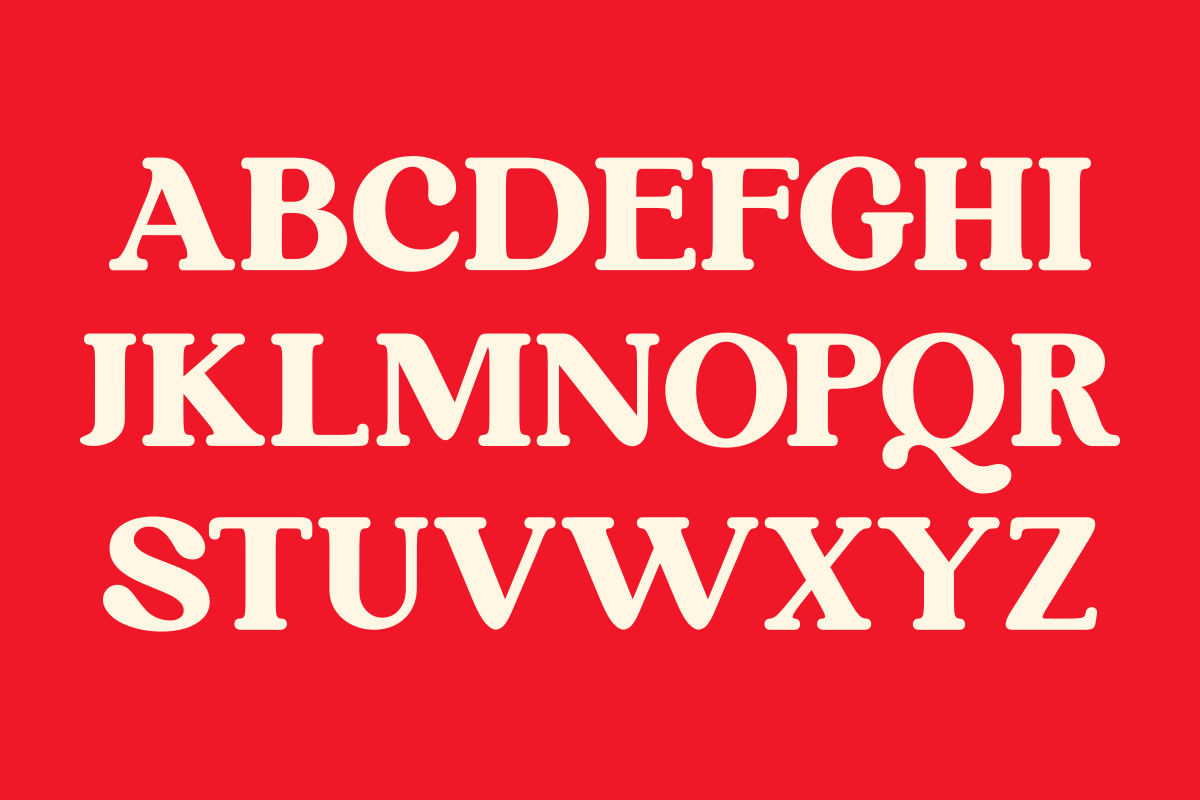 Never Aurora, a Serif Font by zaaintype (Photo 7 of 11)