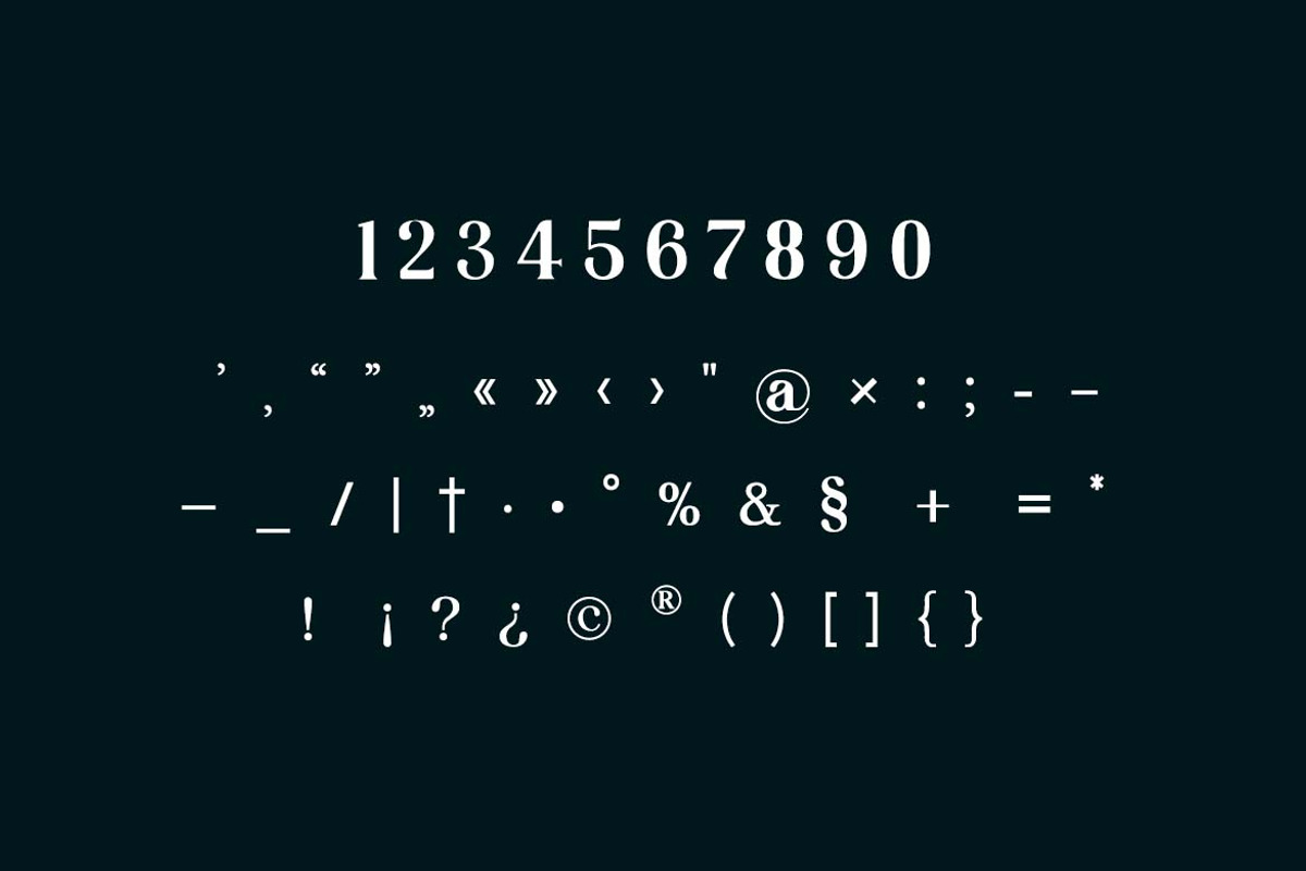 Vexford Quantum Serif Family Font, a Serif Font by UICreative (Photo 8 of 13)
