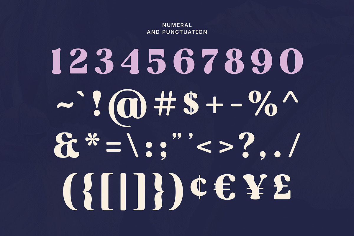 Rost Bird - Bold Swashes Retro Serif, a Serif Font by Typia Nesia (Photo 3 of 15)