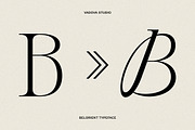 Belorient Condensed Serif Font, a Serif Font by Vadovastd (Thumbnail 3 of 8)