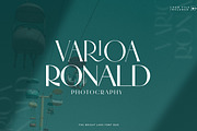 The Bright Lake Font Duo + Logos, a Serif Font by SNIPESCIENTIST (Thumbnail 23 of 31)