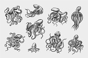Sea octopus set. Creature drawing., an Animal Illustration by Arthur Balitskiy (Thumbnail 2 of 4)