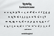 Rottran - Rounded Display Serif Font, a Serif Font by Ekahermawan (Thumbnail 10 of 12)