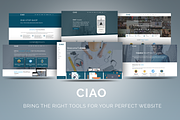 CIAO - Multi-Purpose WordPress Theme, a WordPress Template by CIAOThemes (Thumbnail 1 of 5)
