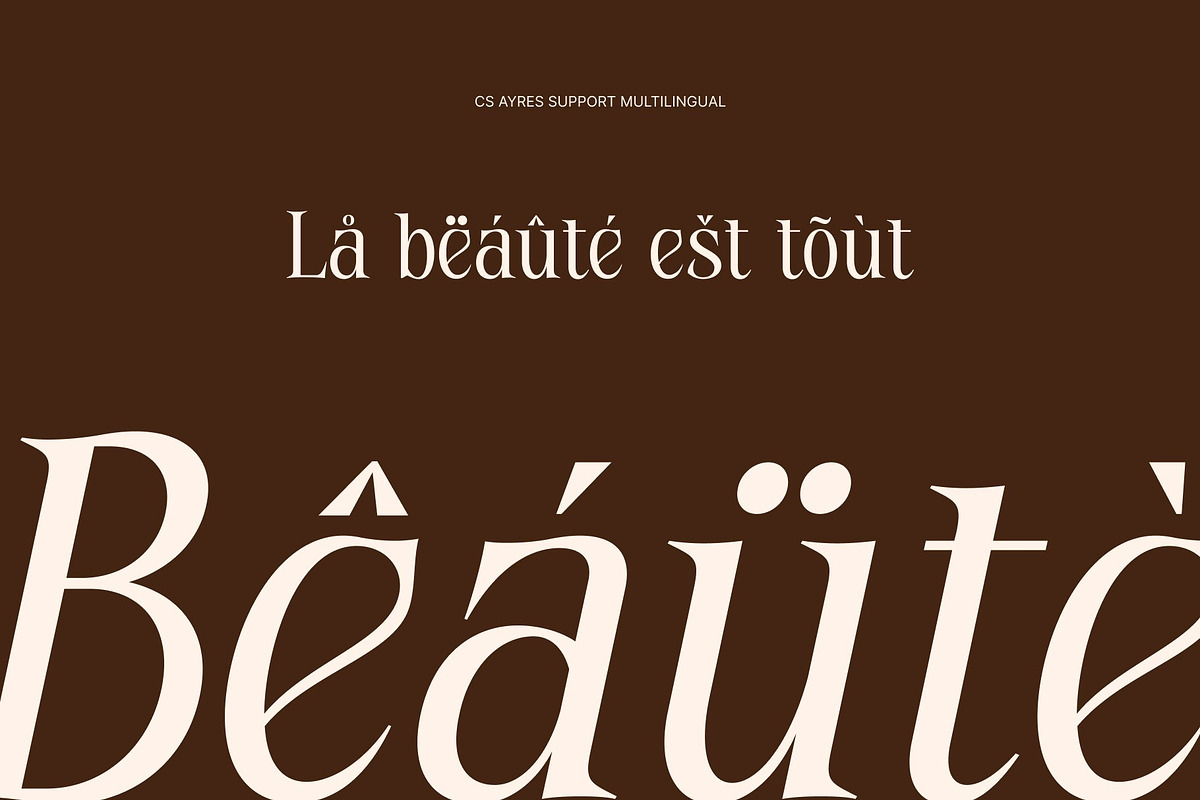 CS Ayres – Contemporary Serif Font, a Serif Font by Craft Supply Co. (Photo 7 of 8)