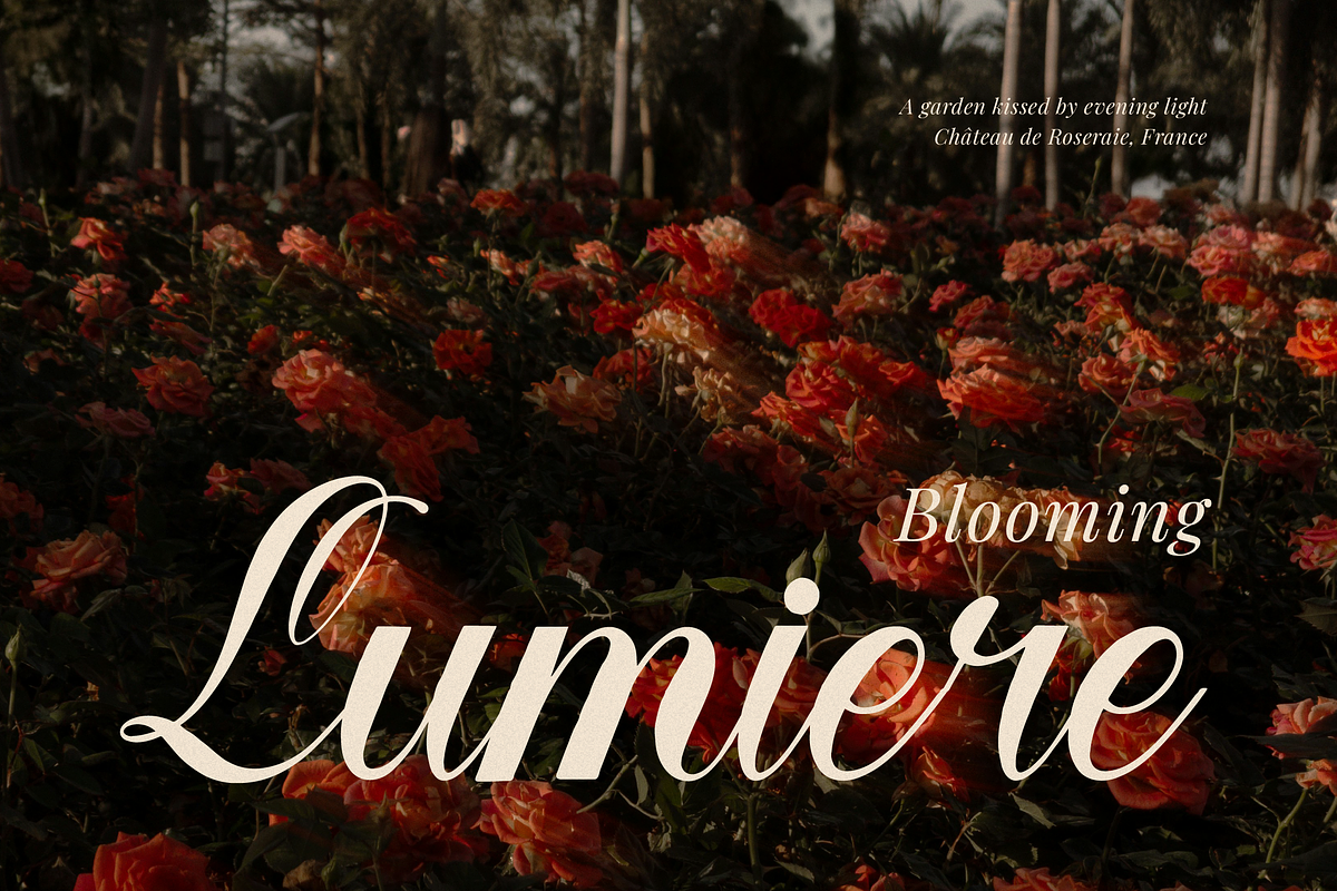 Larfioda | Elegant Script Font, a Script Font by gracetype_studio (Photo 2 of 12)