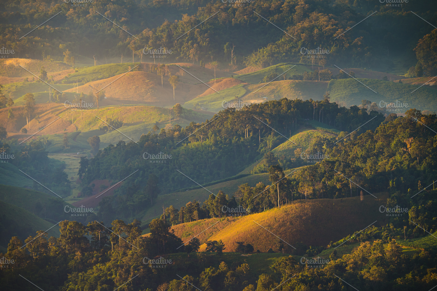 Beautiful sunrise mountain range in Tha Song Yang district locat, a Background Photo by KHphotography