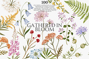 a wildflower meadow clipart set, a Decorative Illustration by Patishop Art (Thumbnail 1 of 12)