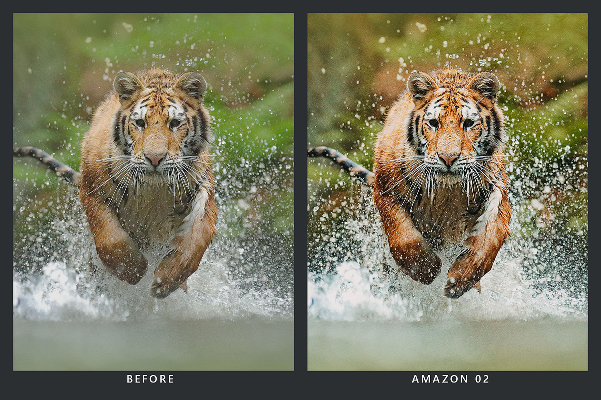 20 Wildlife Lightroom Presets & LUTs, a Preset Add-On by SparkleStock (Photo 2 of 9)