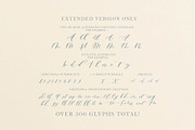 Sapphire Script Standard Version, a Handwritten Font by Design by Laney (Thumbnail 4 of 13)