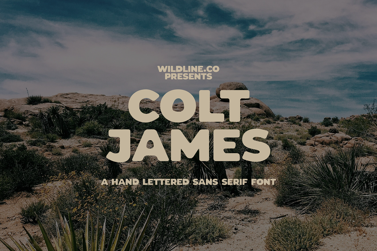 Colt James | Hand Lettered Type, a Font by Wildline.Co (Photo 1 of 3)