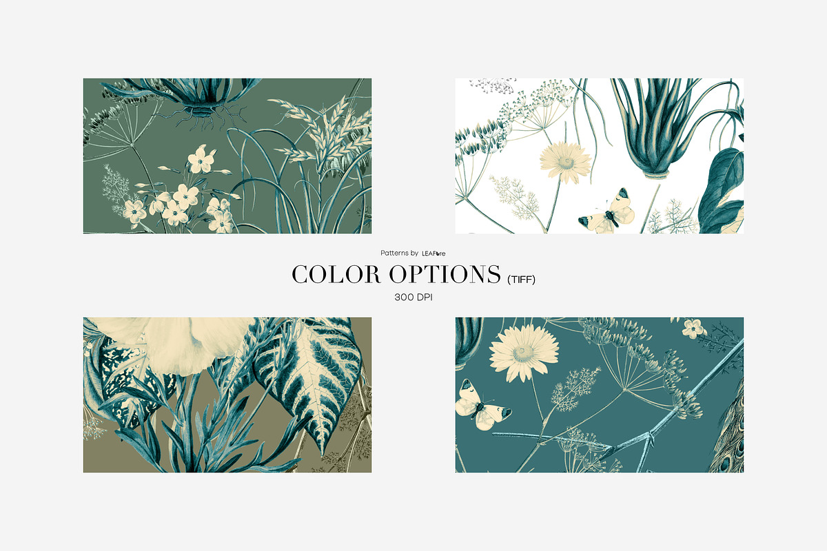Botanical Floral Patterns & Motifs, a Pattern Graphic by LEAFure (Photo 4 of 10)