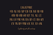 Courteous // Elegant Serif, a Serif Font by Motokiwo (Thumbnail 5 of 11)