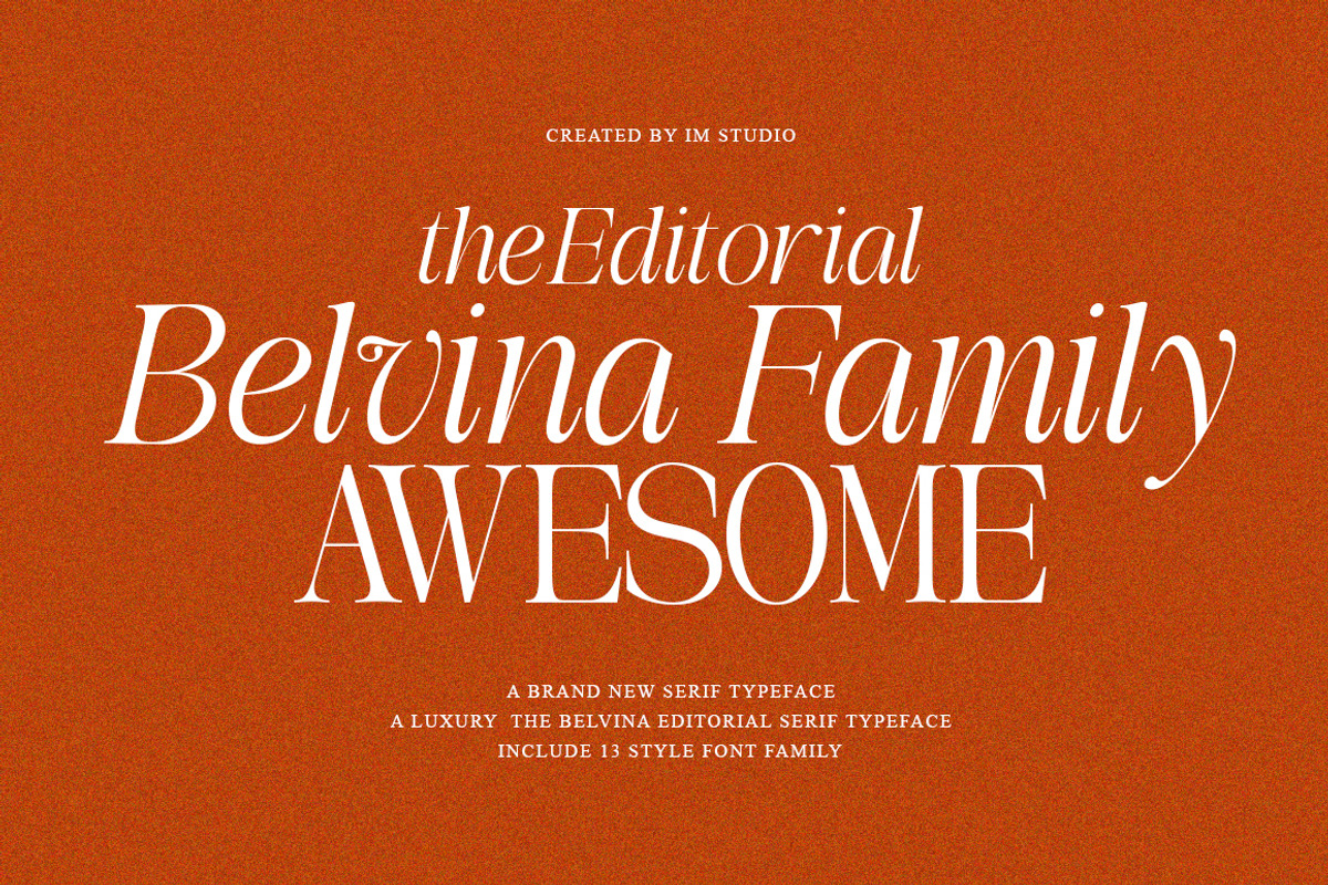 The Belvina Editorial 13 Font Style, a Serif Font by IM Studio (Photo 3 of 14)